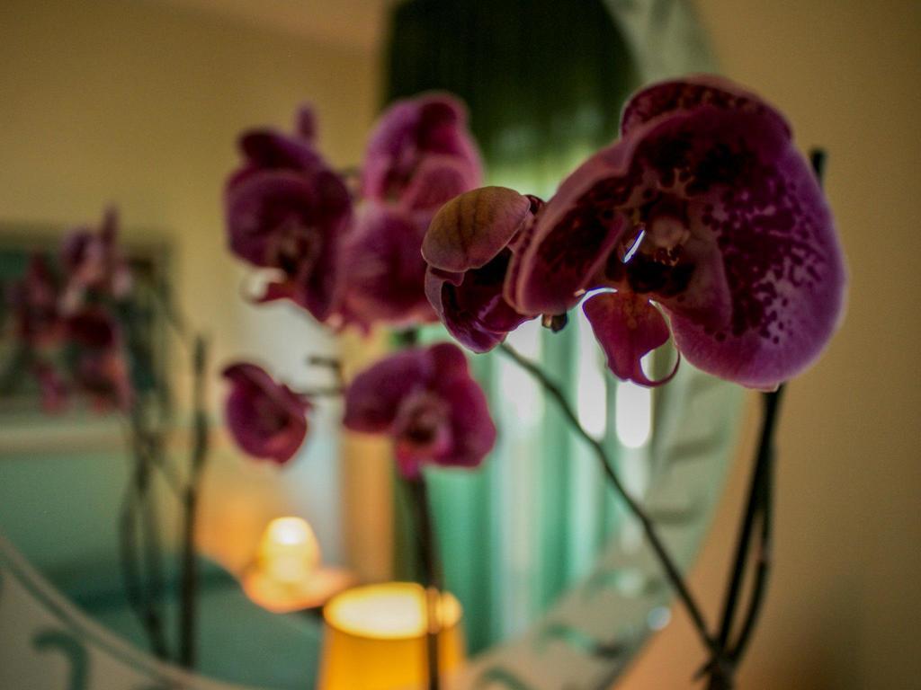 Blu Hotel San Nicola Manfredi Dış mekan fotoğraf